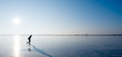 ice skating