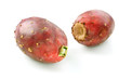 Two Cactus Pears Two Cactus Pears