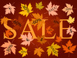 Autumn leaves sale