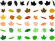 Leaves