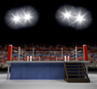 Entering the Ring