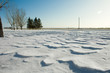 Snow on the Ground