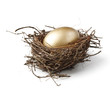 Gold egg