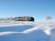 Pulverschnee Winter