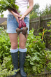 Woman harvesting fresh beets from garden