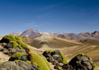 Les Andes