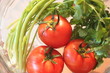 Celery and tomatoes
