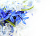 Spring flowers background Spring flowers background