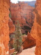 bryce canyon