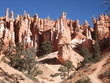 hoodoos at Bryce Canyon