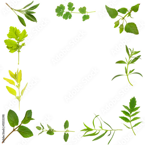 leaf by niggle This free english literature essay on essay: 'leaf by niggle' by j r r tolkien is perfect for english literature students to use as an example. leaf by niggle This free english literature essay on essay: 'leaf by niggle' by j r r tolkien is perfect for english literature students to use as an example.