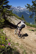 vtt freeride