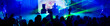 Panoramic photo of people hanging out at the concert