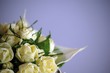 st. valentine's blotting paper roses