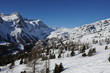 Wonderful landscape