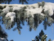 Eiszeit Eiszeit