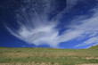 wolke bizarr