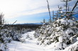 Winter landscape, Quebec, Canada