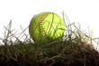 Softball in Grass