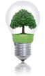Protect environement Protect environement