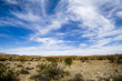 Photo: Desert View 4 Desert View 4