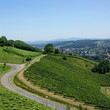 Schilcher Weinstraße Deutschlandsberg / Südsteiermark