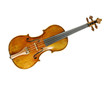 violin