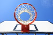 Basketball Net