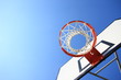 Basketball Net