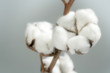 cotton