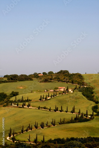 Photo: Zypressen, Kurve, Hügellandschaft, Toskana, Val d Orcia, La Foce Zypressen, Kurve, Hügellandschaft, Toskana, Val d Orcia, La Foce