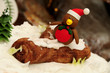 Winter Robin cake decoration
