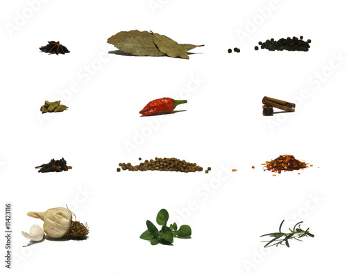Photo: Page of Herbs and Spices Page of Herbs and Spices