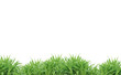 Green grass