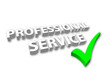 "Professional Service" with Green Tick