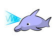 dolphin with sound waves dolphin with sound waves