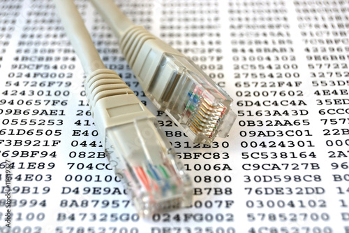 Photo: Network cable and encryption key Network cable and encryption key