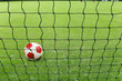 Soccer ball and goal net
