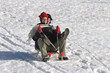 sledding in the snow