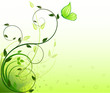Floral background  vector