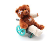 Bear in wheelchair Bear in wheelchair