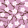 Vector: Seamless sakura blossom Seamless sakura blossom