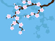 Vector: Sakura blossom on blue Sakura blossom on blue