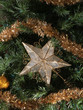 Christmas Tree Star