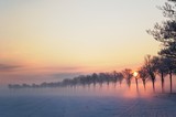 Wintermorgen 2 - Fine Art prints
