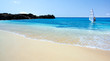 Tropical Windsurfing