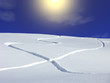 neige et soleil en montagne