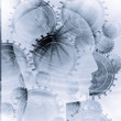 Human head silhouette