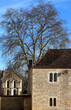 Abbaye cistercienne en Bourgogne Abbaye cistercienne en Bourgogne