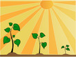 growing plant